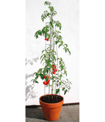 bellissa Tomatenturm 120 cm,1 Stück
