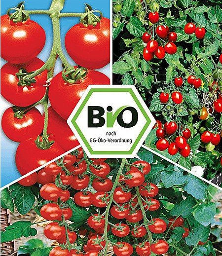 BIO-Tomaten-Kollektion,6 Pfl.,"Previa F1" & BIO-Tomaten "Pepe F1"
