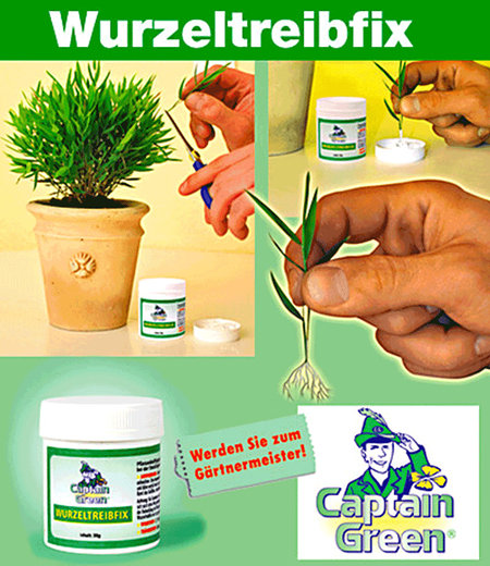 Captain Green Captain Green® Wurzel-Treibfix,30 g