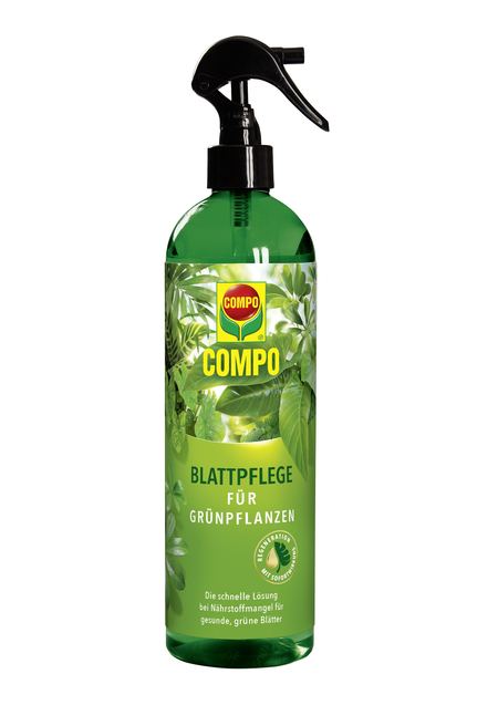 COMPO COMPO Blattpflege für Grünpflanzen