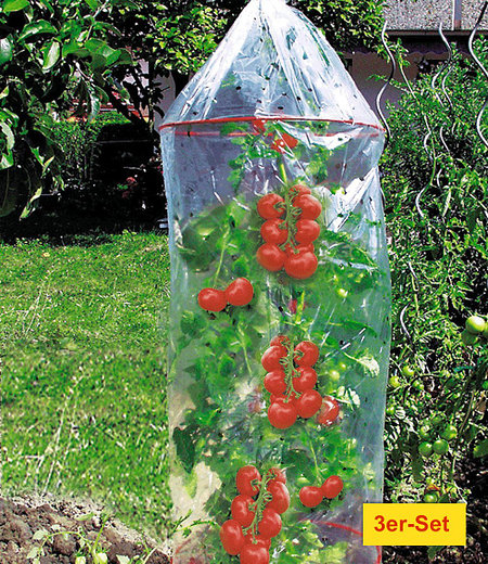 Dinies Deko & Gartenartikel Tomaten-Reifehaube 3er-Set,1 Pack.