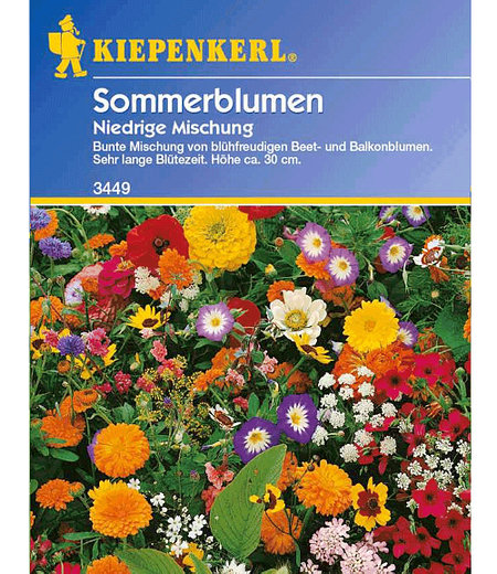 Kiepenkerl Niedriger Sommerblumen-Mix,1 Portion