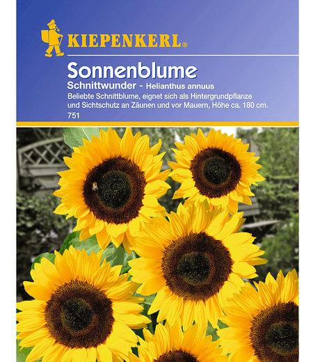 Kiepenkerl Sonnenblume 'Schnittwunder',1 Portion