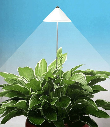 LED Wachstumslampe fürs Zimmer "weiß",1 Stück