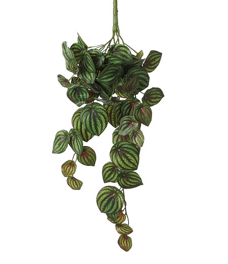 Mica Decorations Kunst-Hängepflanze "Peperomiagrün" 58 cm,1 Stück