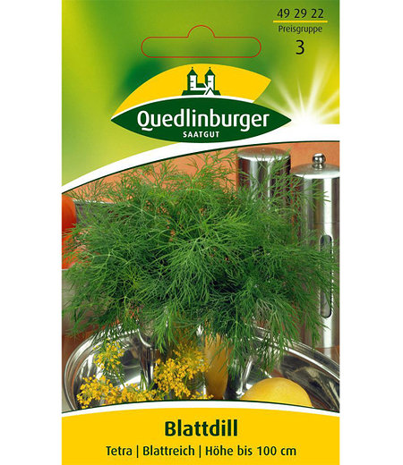 Quedlinburger Gurken-Dill, blattreich,1 Portion