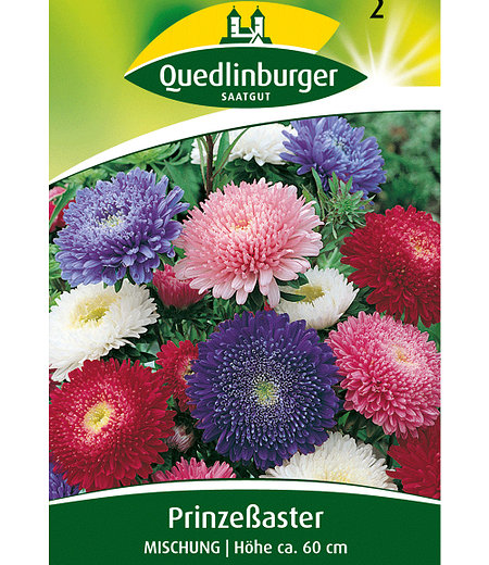 Quedlinburger Riesen-Prinzess-Astern-Mix,1 Portion