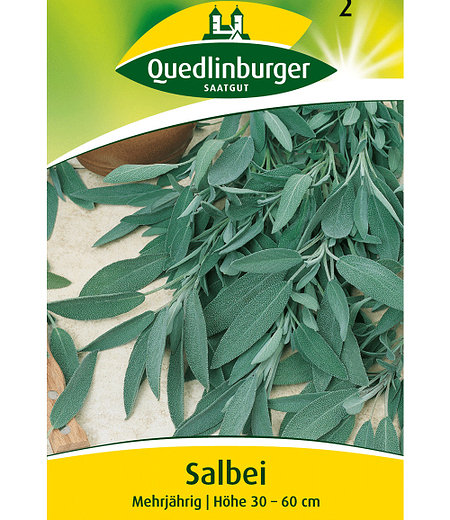 Quedlinburger Salbei mehrjährig,1 Portion