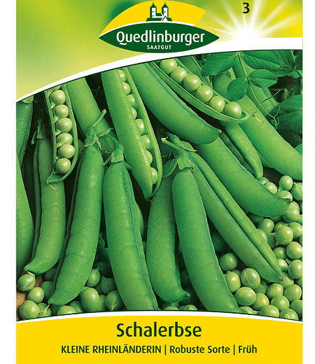 Quedlinburger Schalerbse "Kleine Rheinländerin",1 Portion