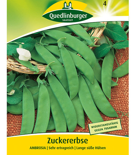 Quedlinburger Zuckererbse "Ambrosia",1 Portion