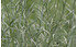 AllgäuStauden Currykraut Helichrysum italicum 'Silbernadel' (1)