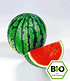 BIO-Melone 'Ingrid' F1,2 Pflanzen Wassermelone BIO Melonenpflanze (1)