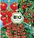BIO-Tomaten-Kollektion,6 Pfl.,"Previa F1" & BIO-Tomaten "Pepe F1" (1)