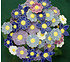 Blumenset 10 Keramikblumen Frühling (1)