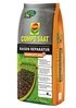 COMPO COMPO SAAT® Rasen-Reparatur Komplett Mix+ 4 kg für bis zu 20 m² (1)