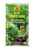 COMPO COMPO SANA® Grünpflanzen- und Palmenerde 20 L (1)
