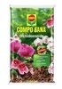 COMPO COMPO SANA® Orchideenerde 5 L (1)