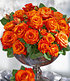 Delbard Parfum-Rose "France Libre®",1 Pflanze (1)