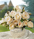 Delbard Parfum-Rose "Grand Nord®",1 Pflanze (1)