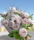 Delbard Parfum-Rose "Vichy®",1 Pflanze (1)