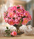 Delbard Rose der Liebe "Dames de Chenonceau®",1 Pflanze (1)