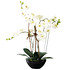 Kunstpflanze Orchideentopf Modern (1)
