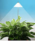 LED Wachstumslampe fürs Zimmer "weiß",1 Stück (1)