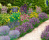 Mein schöner Garten Bienenfreundliches Gartenbeet "Nektar-Oase", 21 Pflanzen (1)