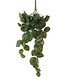 Mica Decorations Kunst-Hängepflanze "Peperomiagrün" 58 cm,1 Stück (1)