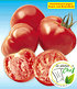 Veredelte Stab-Tomate "Maestria" F1,2 Pflanzen Tomatenpflanze (1)