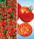 Veredelte Tomaten-Kollektion La sélection du Chef®,4 Pflanzen (1)