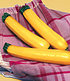 Veredelte Zucchini "Sebring" F1,2 Pflanzen Cucurbita Zucchinipflanze (1)