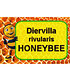 Bienenstrauch "Honeybee®",1 Pflanze (5)