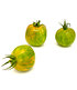 Salat-Tomate "Green Zebra",1 Pflanze (5)