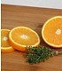 BIO-Orangen-Thymian 1 PflanzeThymus (2)
