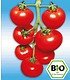 BIO-Tomaten-Kollektion,6 Pfl.,"Previa F1" & BIO-Tomaten "Pepe F1" (2)