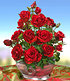 Delbard Edel-Rose "Red Intuition®",1 Pflanze (2)
