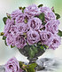 Delbard Parfum-Rose "Mamy Blue®",1 Pflanze (2)