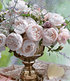 Delbard Parfum-Rose "Vichy®",1 Pflanze (2)