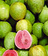 Echte Guave,1 Pflanze (2)