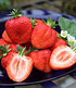 Erdbeere "Sweet Mary XXL®",3 Pflanzen (2)