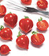 Hänge-Tomate Heartbreakers® "Vallery" F1,2 Pfl. Tomatenpflanze hängend (2)