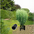 NOOR Rhizomsperre Bambus Blocker 0,7x50 m Wurzelsperre (2)