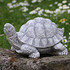 Schildkröte (2)