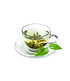 Winterharte Teepflanze "Tea byme®",1 Pflanze (2)