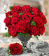 Delbard Parfum-Rose "Le Rouge et le Noir®",1 Pflanze (4)