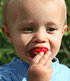 Erdbeere "Sweet Mary XXL®",3 Pflanzen (4)
