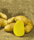 Kartoffel-Raritäten-Kollektion,2x2,5 kg + 25 Knollen (4)