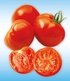 Veredelte Tomaten-Kollektion La sélection du Chef®,4 Pflanzen (4)