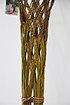 Weide geflochten (dunkel) trichterförmig - Salix fragilis (4)
